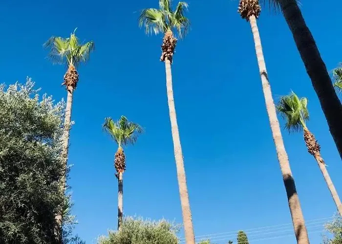 Park Palace ホテル 3*