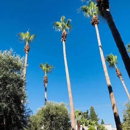 Park Palace מלון 3*